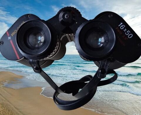 Jumelles fort grossissement 180 Rennes (35)