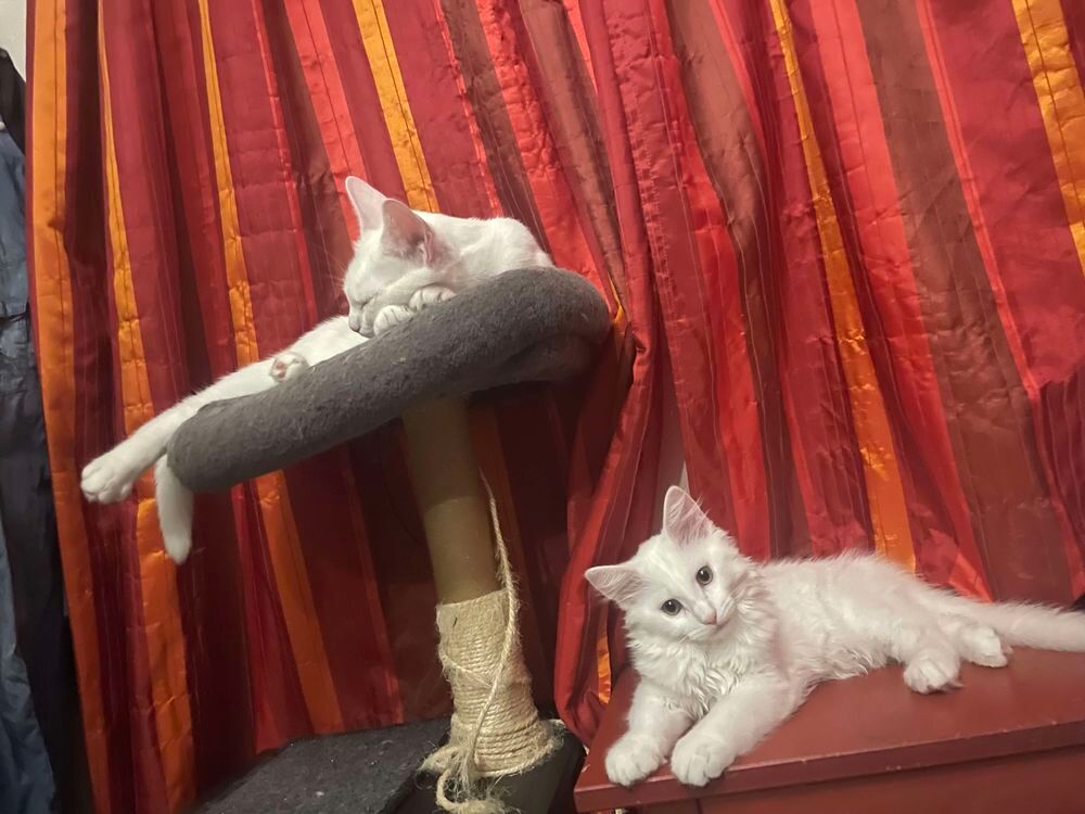   ATHENA ET RAGNAR  