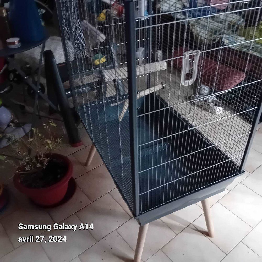 Grande cage neuve 50euro Jardin