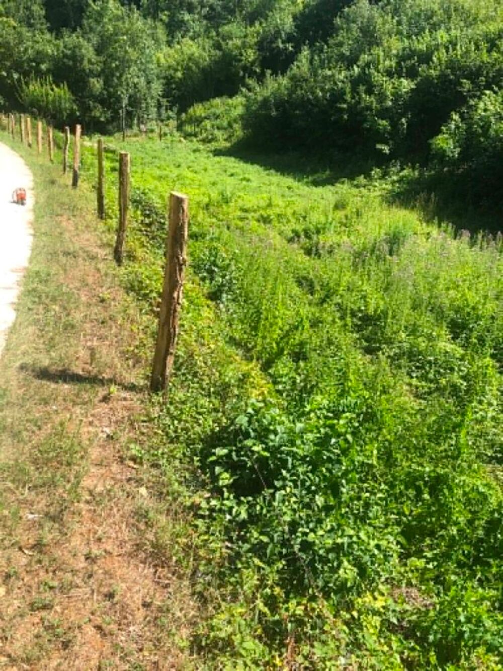   PRÊTE GRATUITEMENT terrain plat et pentu d'un total 5000 m2  