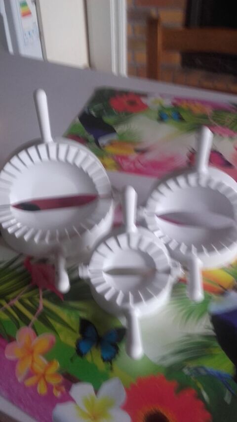 moules  chaussons, ravioles
5 Romill (35)