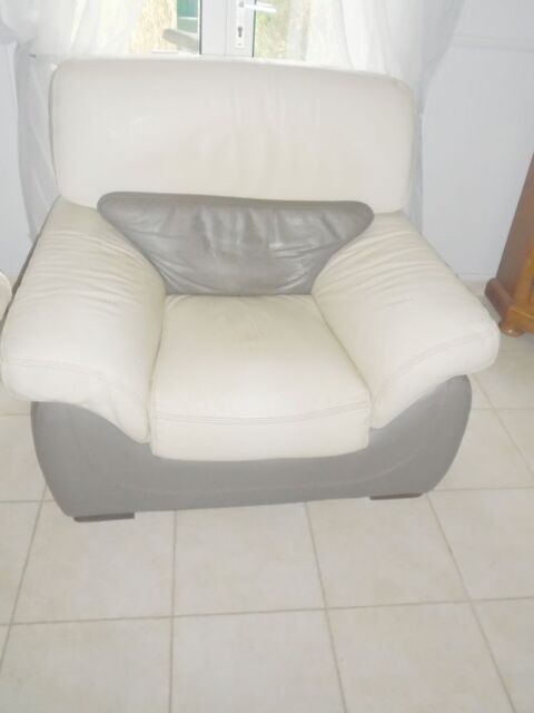 Fauteuil en cuir beige et gris CHATEAU D' AX . 100 Apremont (85)