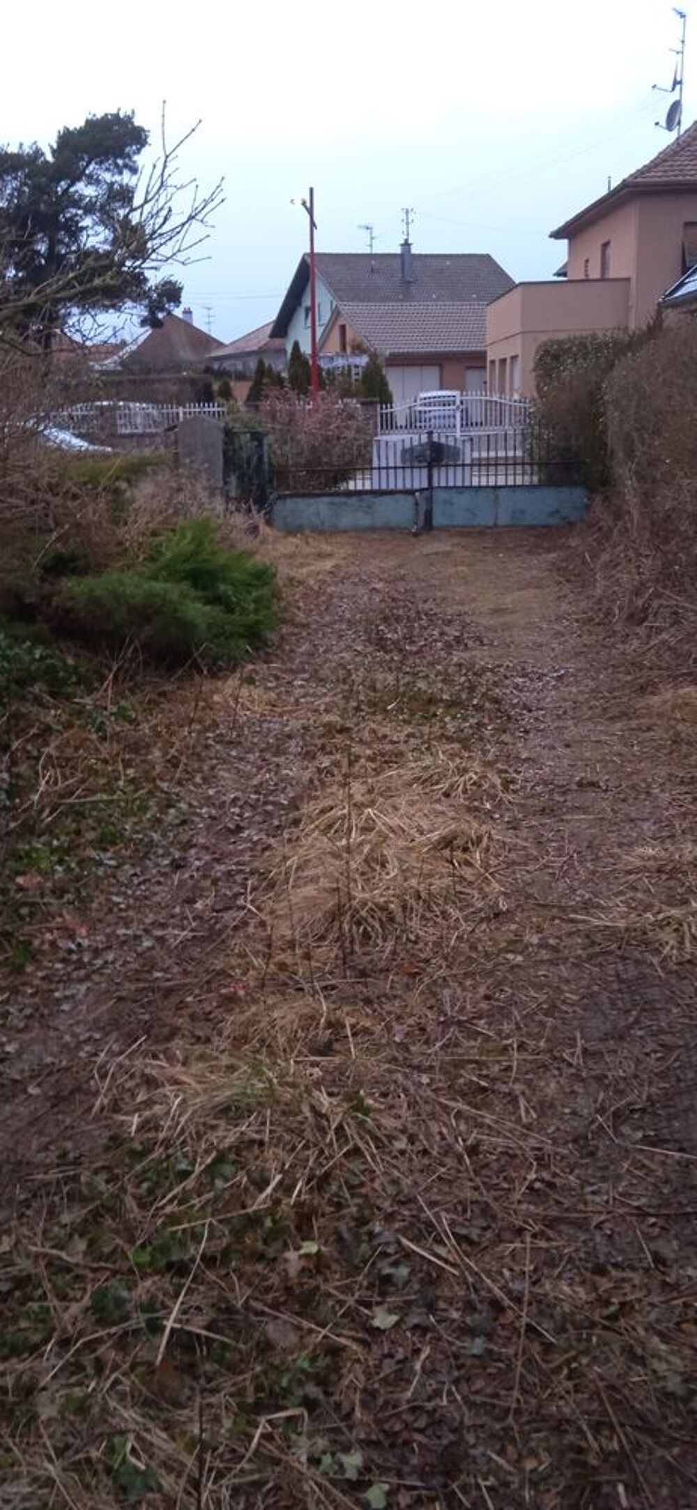 Vente Terrain Terrain de construction 68850-STAFFELFELDEN Staffelfelden