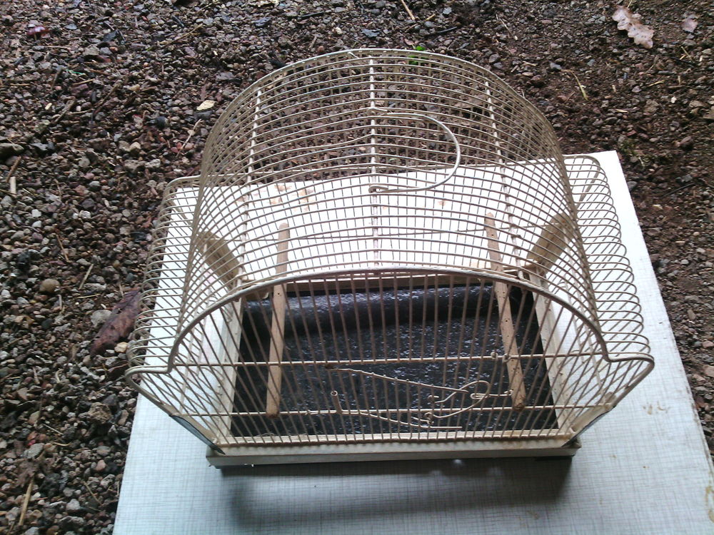 :
cage a oiseaux repeinte toute neuve
soldee a 12e Bricolage