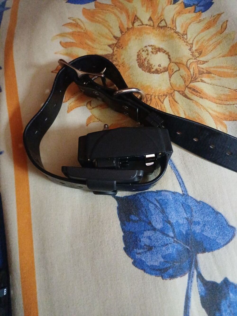 Collier chien dressage 