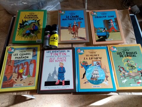 Lot livre TINTIN HERGE au pays soviets 45 Chartres (28)