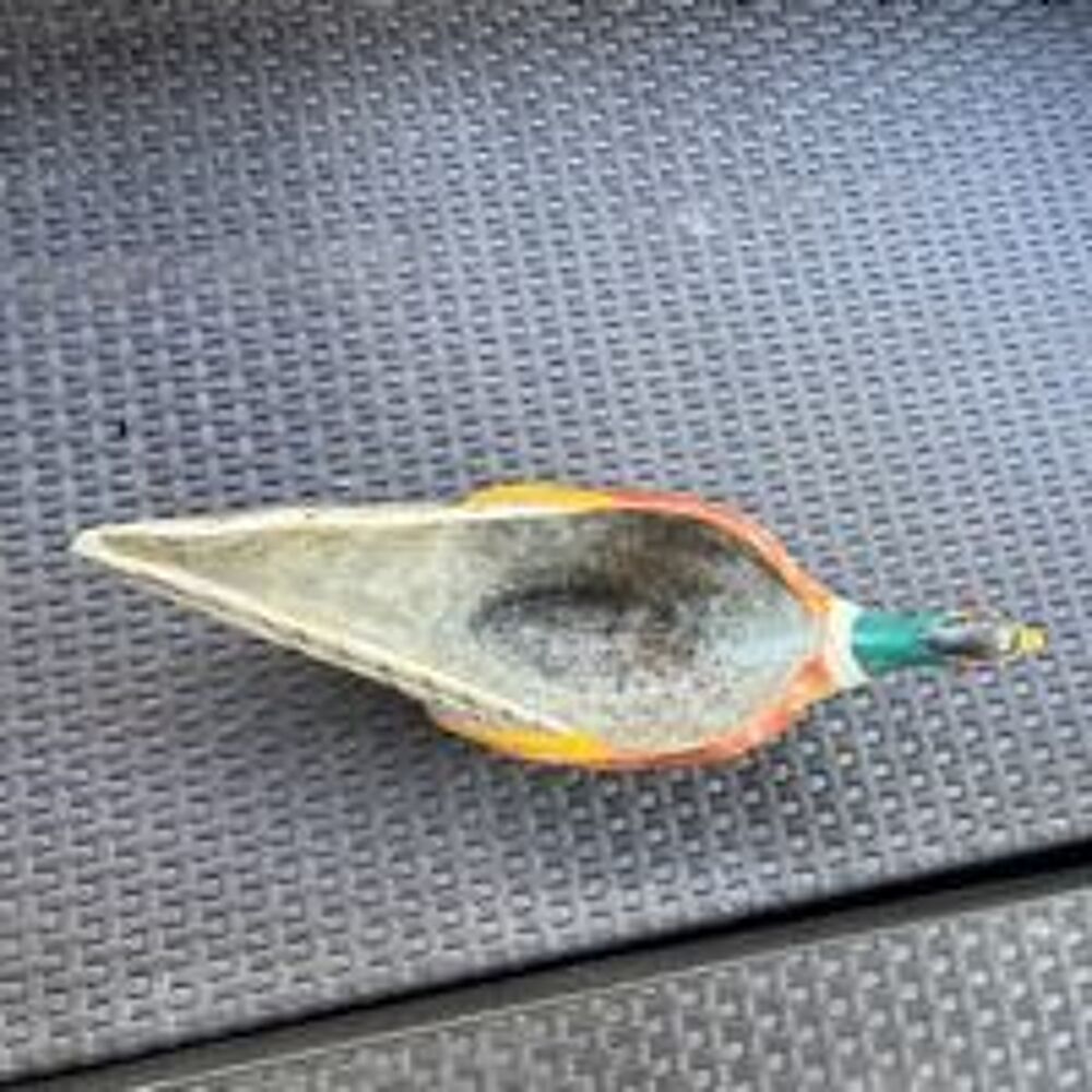 Ancienne grande sauci&egrave;re faisan fa&iuml;ence 