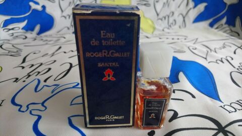 MINIATURE DE PARFUM 5 Trouy (18)