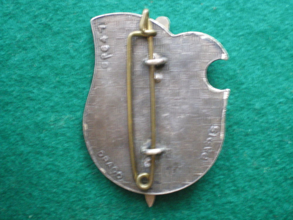 Insigne de Sant&eacute; - 11&deg; Compagnie M&eacute;dicale 1&deg;CA. 