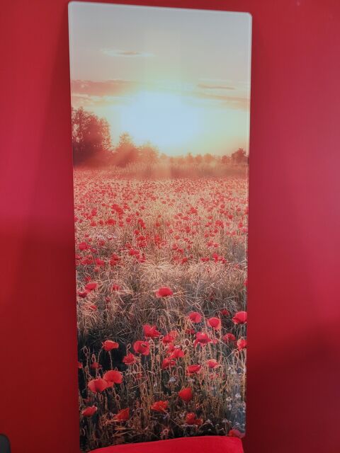 tableau avec paysage champ de coquelicots
50 Villefranche-sur-Sane (69)