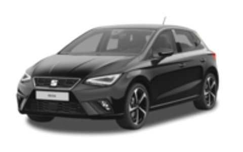 Annonce voiture Seat Ibiza 28460 €