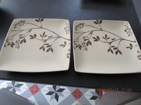 Deux assiettes très plates 5 Castres (81)