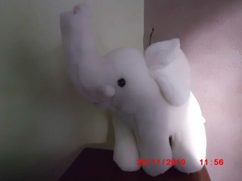 ELEPHANT BLANC SOCOJOU 14 Oignies (62)
