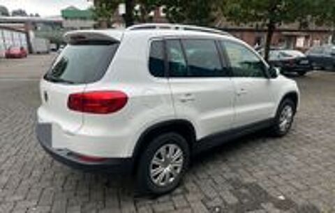 Tiguan 2014 occasion 20260 Calvi