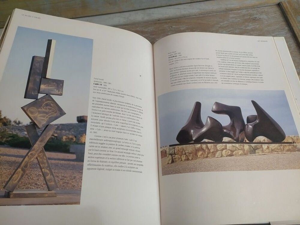 Livre Le Mus&eacute;e d'Isra&euml;l Somogy &Eacute;ditions d'Art Livres et BD
