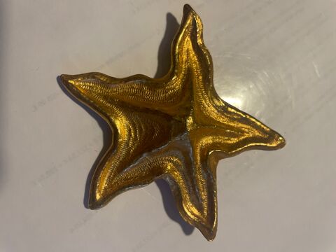 Broche dore Etoile de mer ANTIGONA 75 Vigneux-sur-Seine (91)