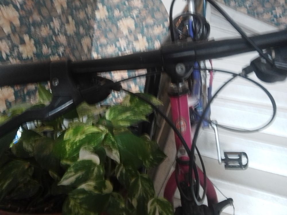 v&eacute;lo femme Vélos