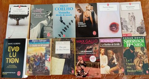 12 Livres de Poche d'Ecrivains Divers 10 Saint-Dizier (52)