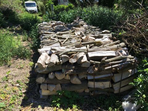 bois de chauffage 
En 1 m�tres ,50/. 33 50 F�camp (76)