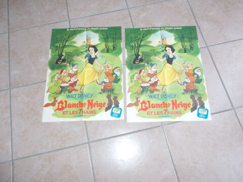 affiche WALT DISNEY 1973 30 Bourgoin-Jallieu (38)