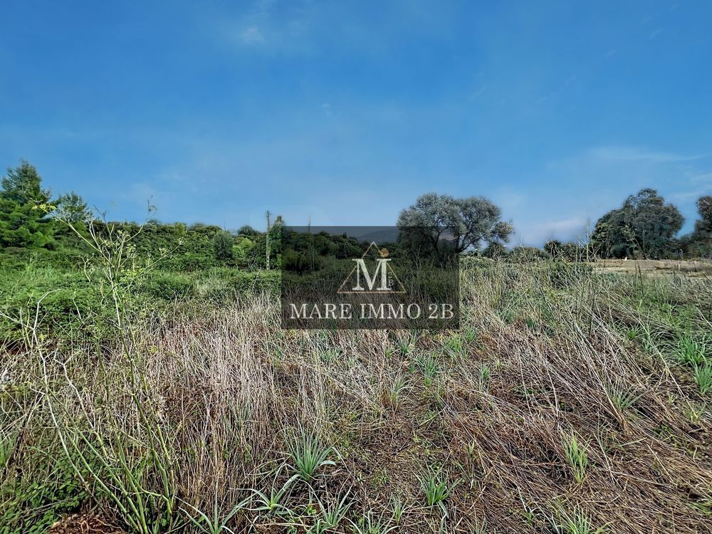 Vente Terrain Terrain constructible de 978m² hors lotissement Calvi