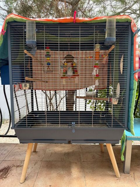 3 Touis c&eacute;lestes + grande cage &eacute;quip&eacute;e ? Ensemble complet 320 30320 Poulx