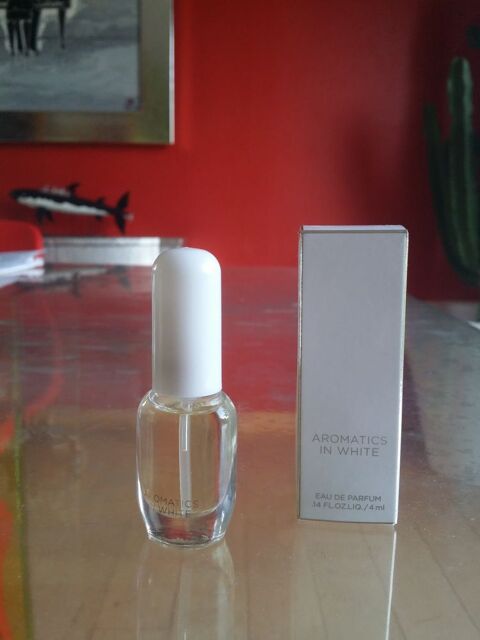 Miniature de collection parfum 4 Vannes (56)
