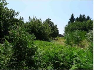  Terrain  vendre 3130 m Les martys