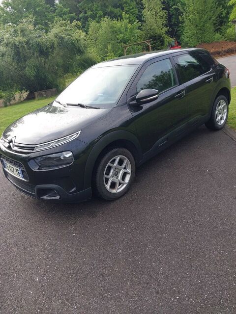 Citroen c4 cactus Citroën  BlueHDi 100 BVM Feel Busin