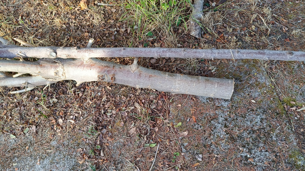Recherche rondins de bois pour tournage Bricolage
