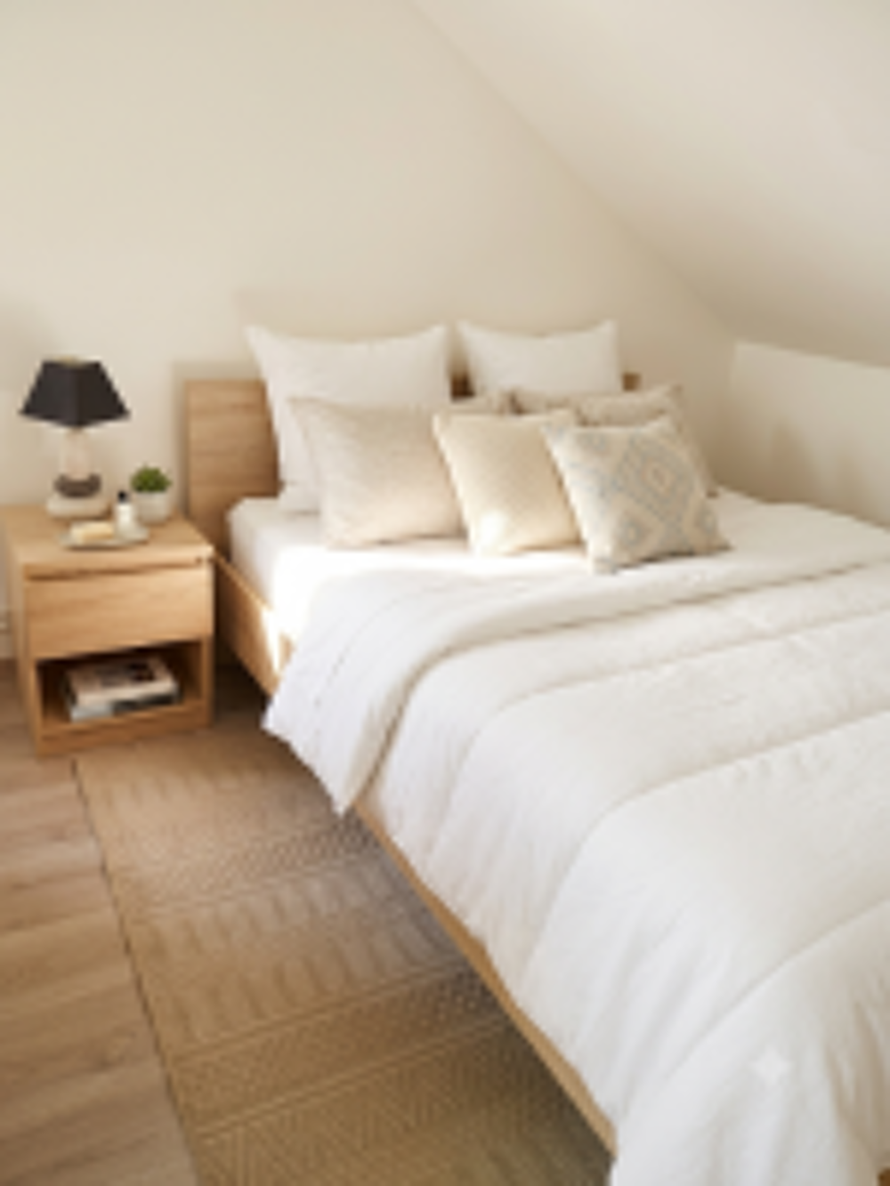 Location Chambre meublée, 23m2, proche du centre ville Blois
