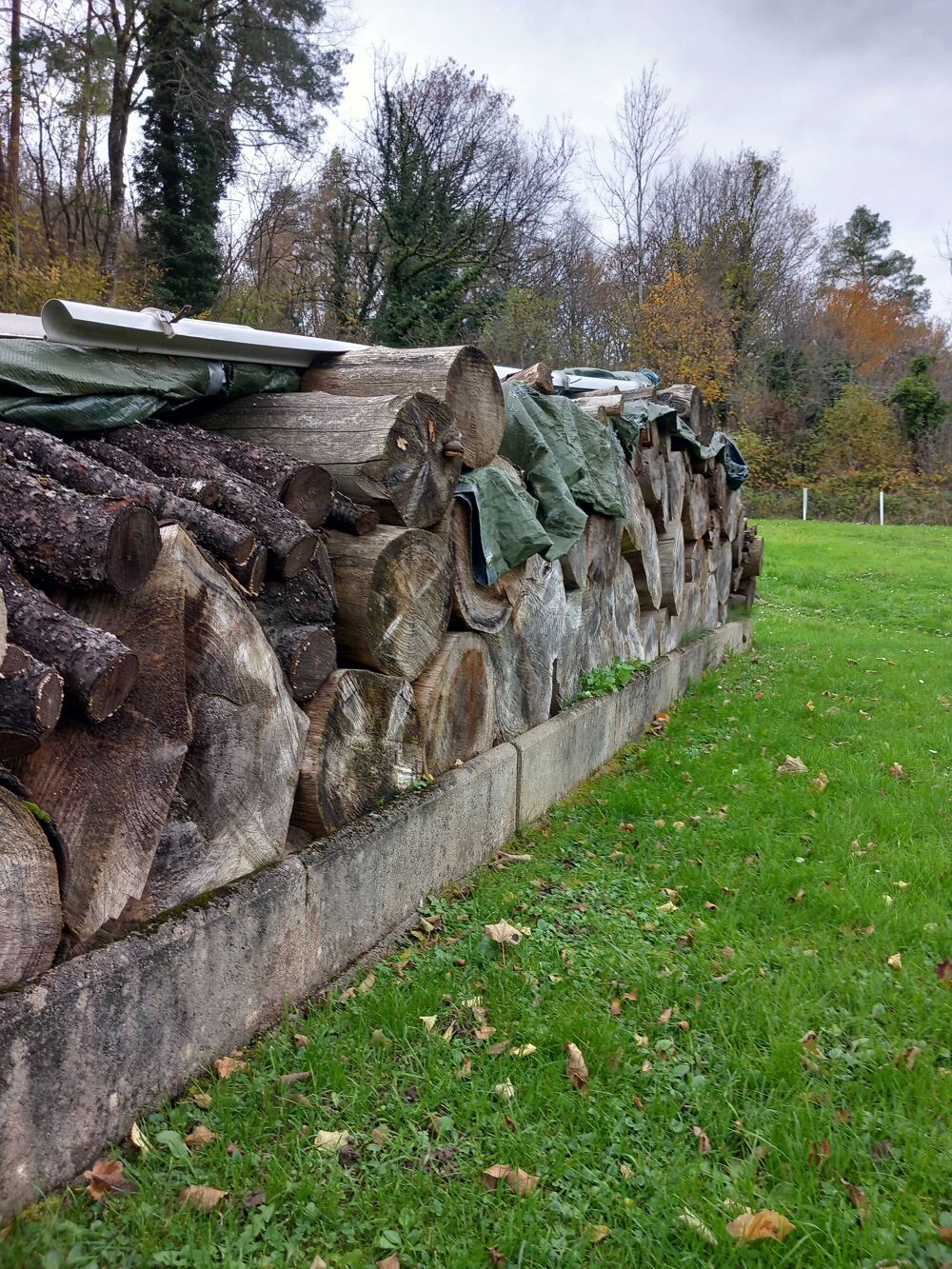bois chauffage Jardin