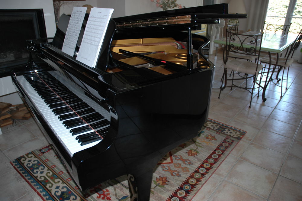 Piano 1/4 queue, Young Shang Instruments de musique