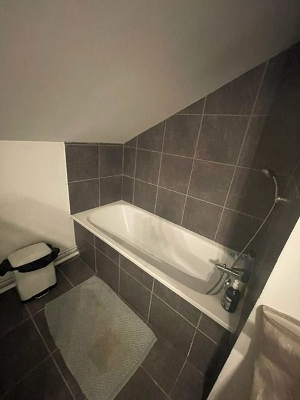 Location Appartement F1 25 M2   Meublé,  St Martin Héres ,  présCampus,  Neyrpic Saint-martin-d'hères