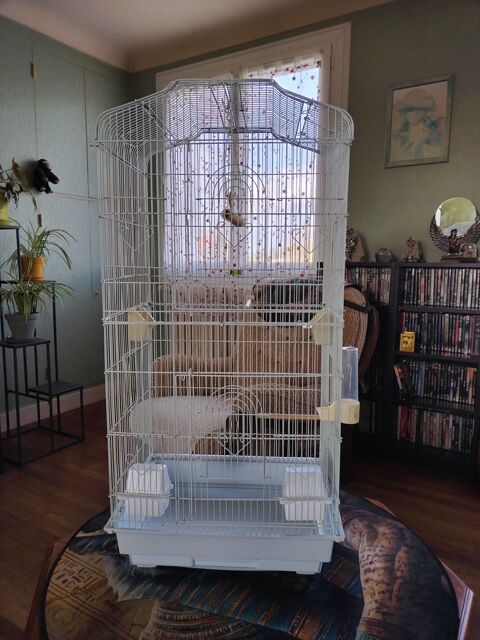 Couple Diamant bavette + cage 40 79100 Thouars