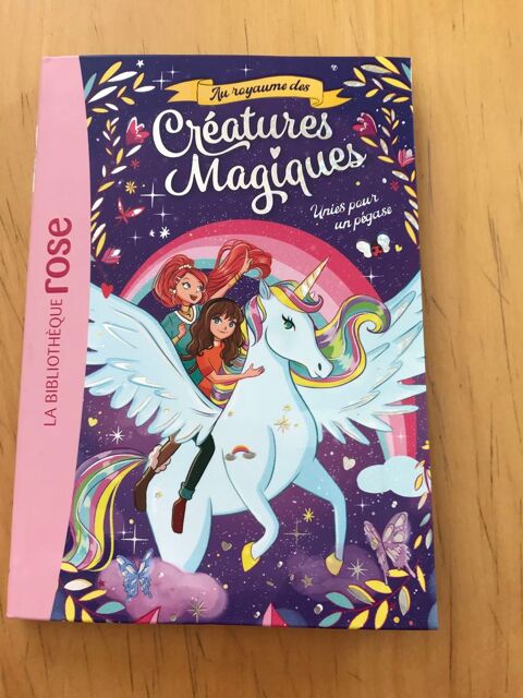 livre enfant Carlux (24)