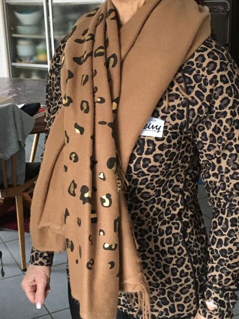 GRANDE ETOLE CHAUDE ET DOUILLETTE 30 La Bthie (73)