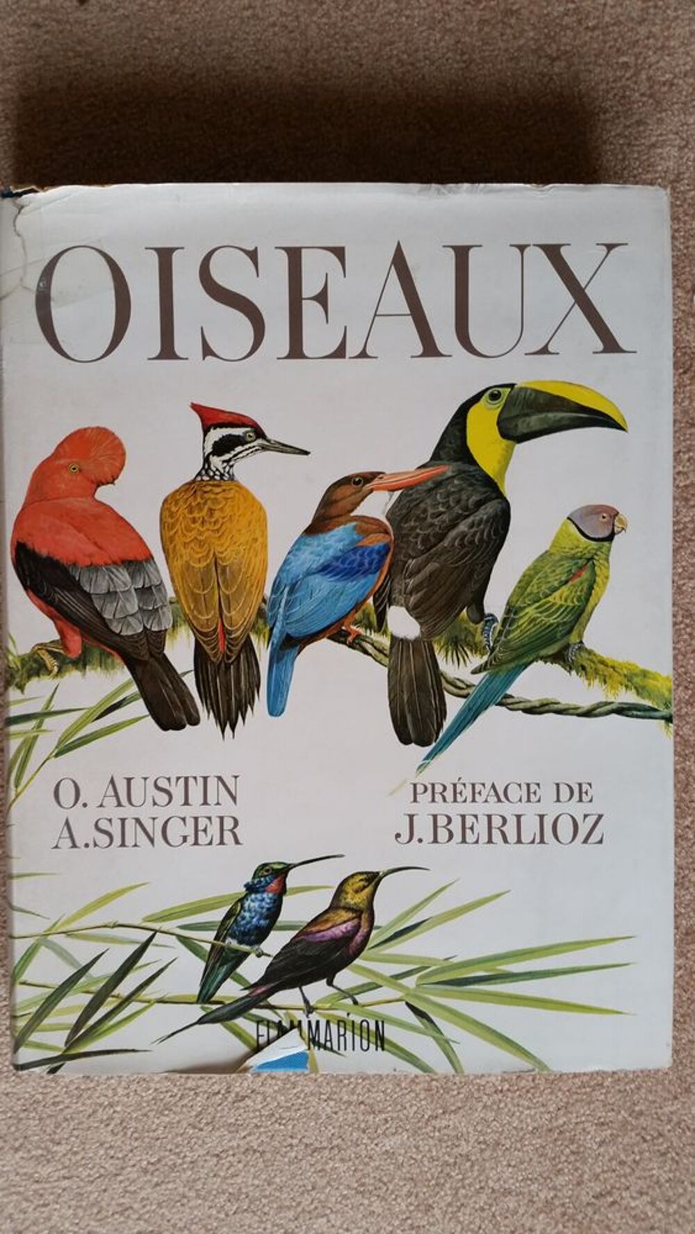OISEAUX ( FLAMMARION ) livre Livres et BD