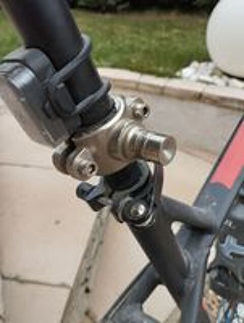   Laisse pour chien sur v�lo  