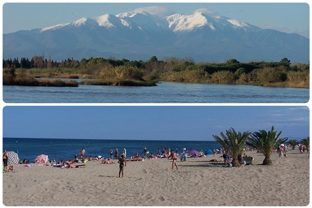   T2, 45m2, centre village, 50m de la plage Languedoc-Roussillon, Le Barcarès (66420)