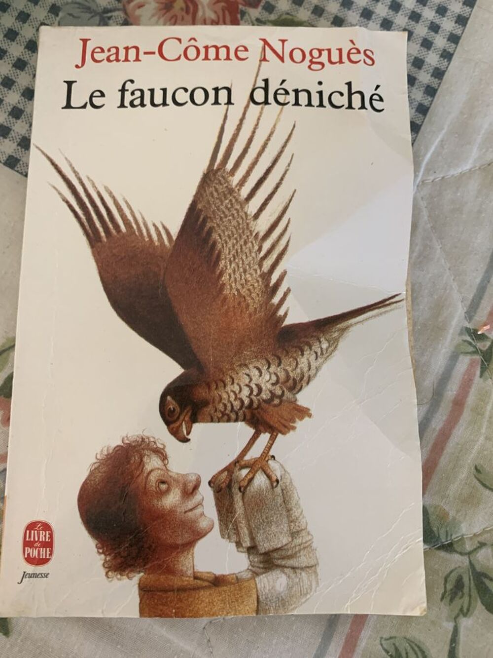 Le faucon deniche Livres et BD