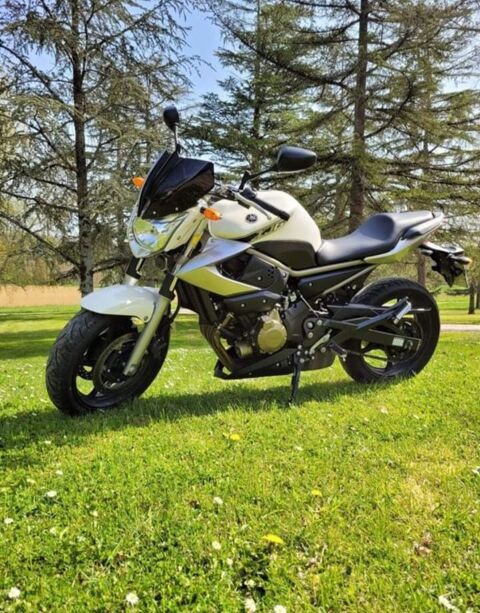 Moto YAMAHA 2010 occasion Cornebarrieu 31700