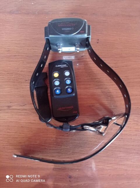 Collier éducatif chien 50 24350 Lisle