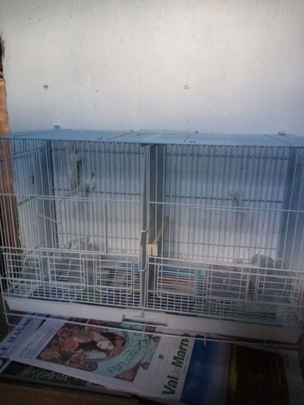   Cage d'élevage  