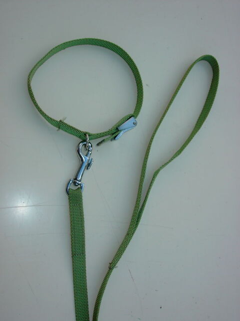 Laisse + collier pour petits animaux 7 18390 Saint-germain-du-puy