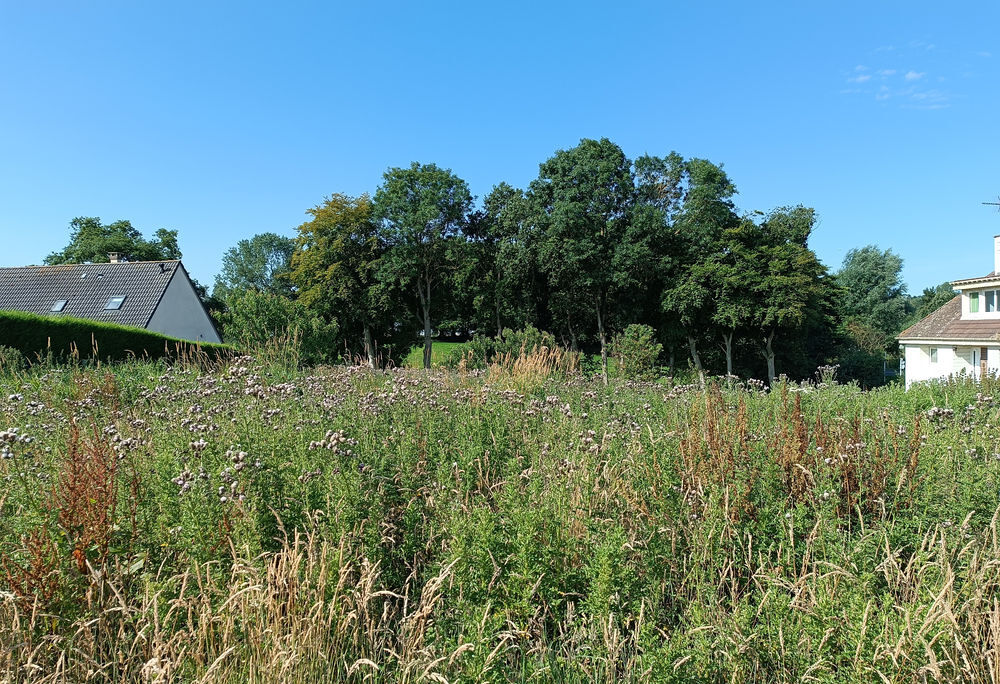 Vente Terrain LIMITE ST VALERY EN CAUX, TERRAIN 1.145 m2 Saint-valery-en-caux