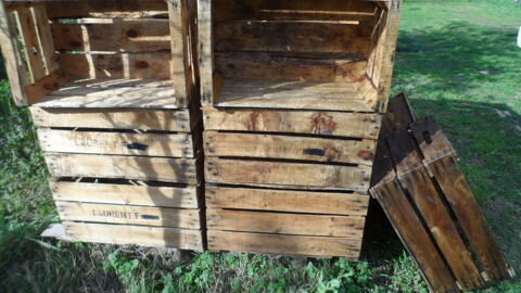 Belles caisses a pommes trait�es a l huile de lin 12 Uchaux (84)