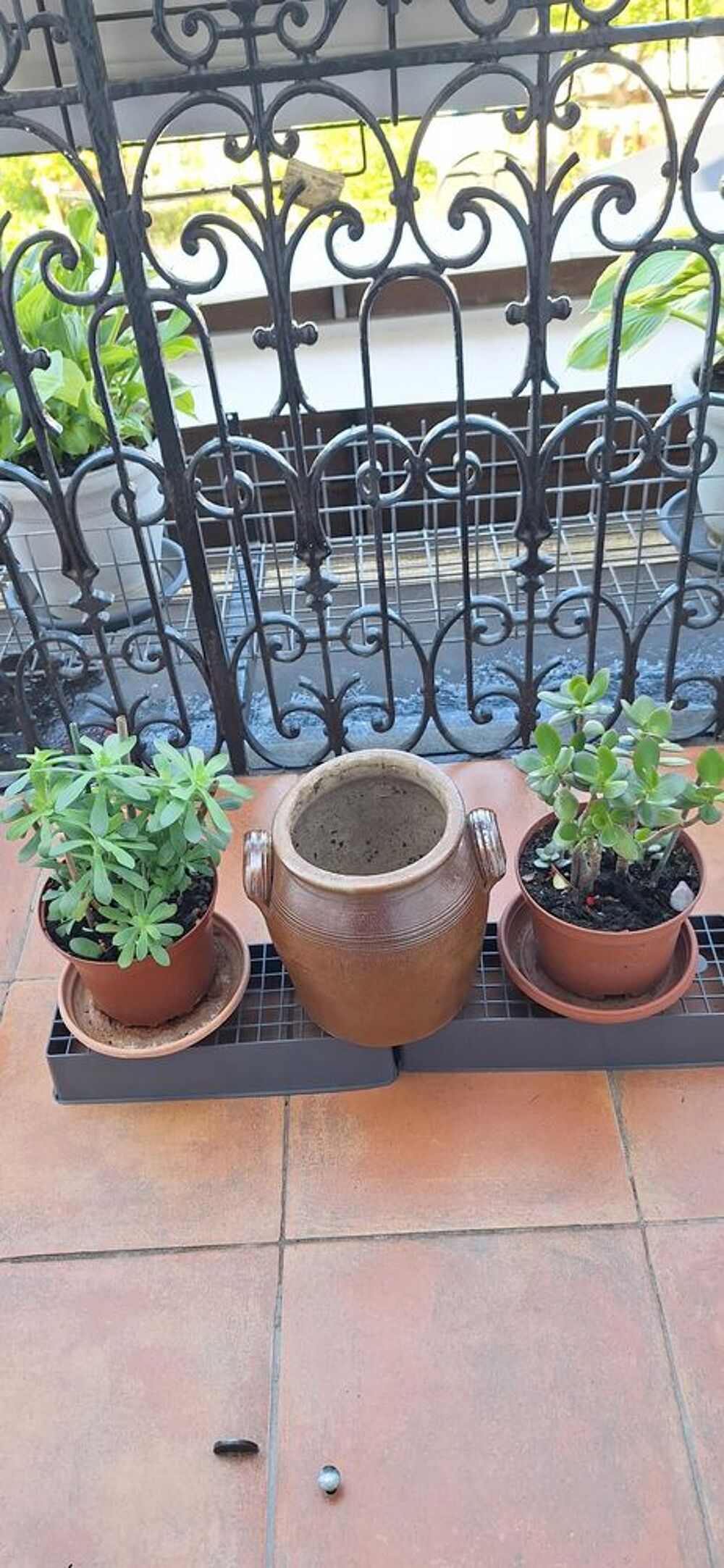 pot r&eacute;tro+ plantes Décoration