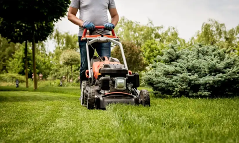 Service entretien de votre jardin 0 56350 Saint-perreux