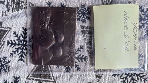 Mdaille bronze 30 Bourges (18)